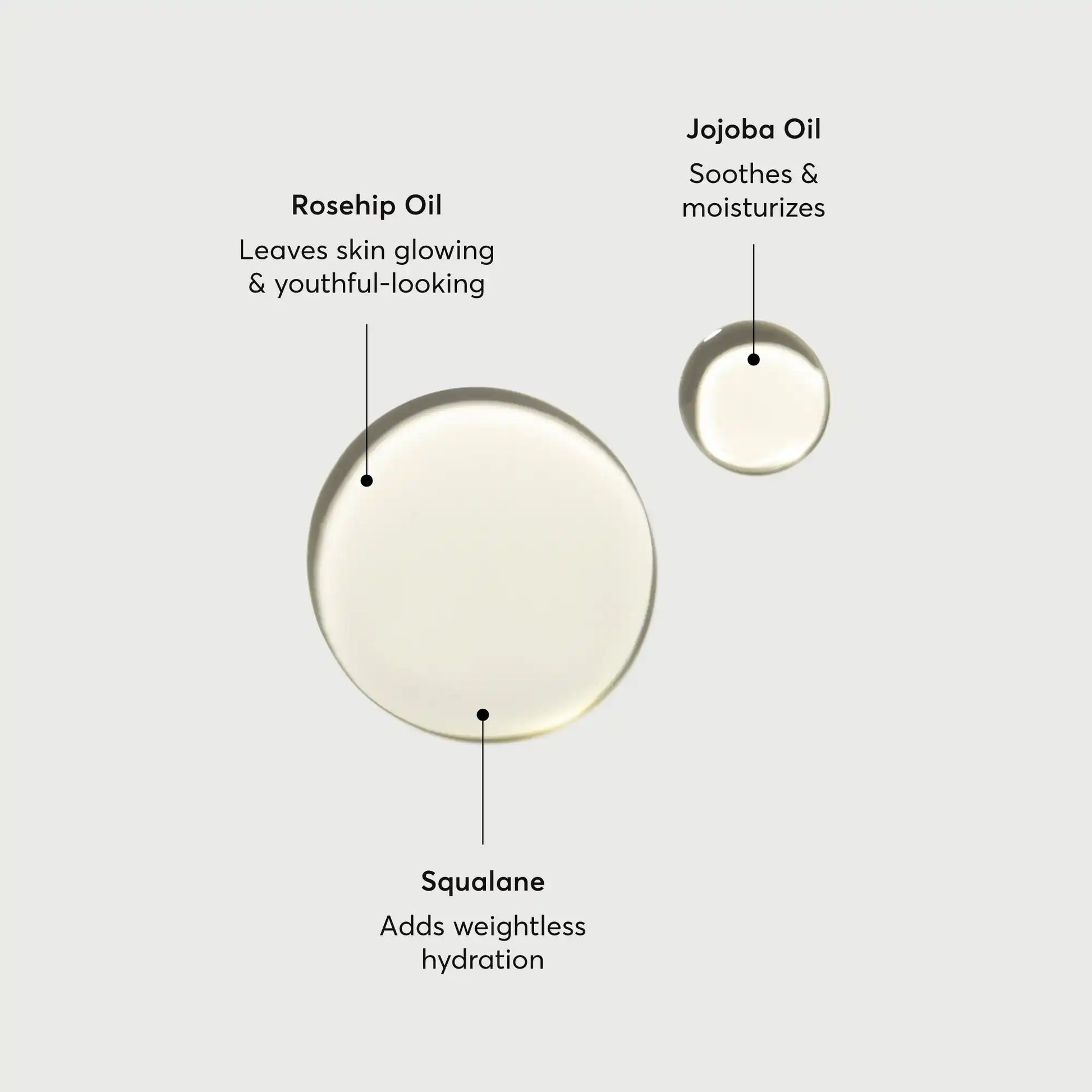the-glow-getter-body-oil-s0 NATR-10115-Alt-Images-The-Glow-Getter-Body-Oil-01.webp
