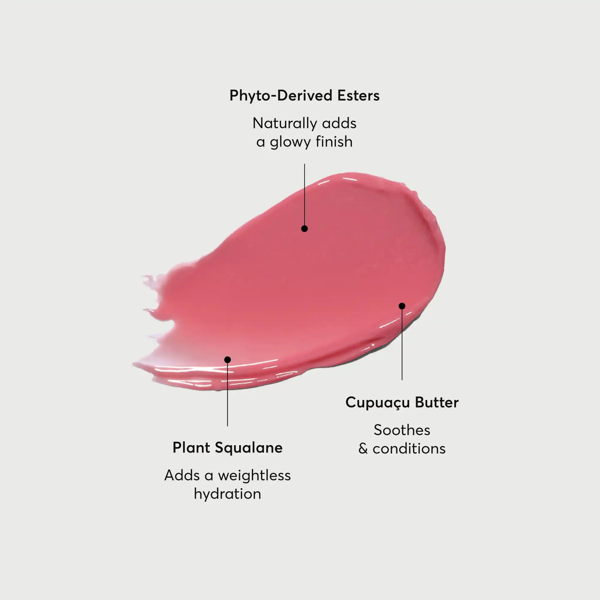 phyto-glow-lip-balm-petal-m5 NATR-60067-Alt-Images-Phyto-Glow-Lip-Balm-Petal-01.webp